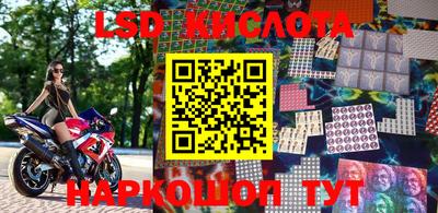 молекула духа Камышлов