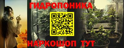 молекула духа Камышлов