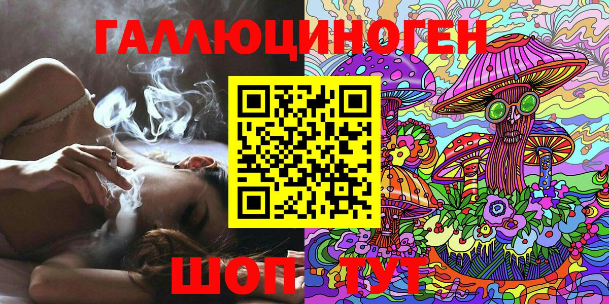 Лыткарино  Псилоцибиновые грибы Psilocybine cubensis  Вход с VPN 