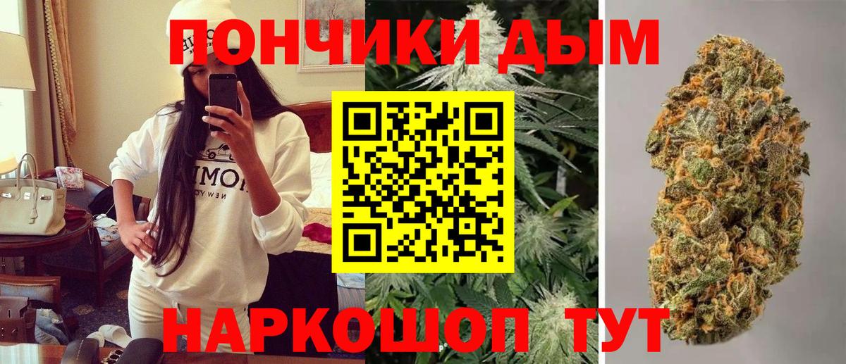 Шишки марихуана планчик  Шишки марихуана сатива  Лыткарино  Вход с VPN 